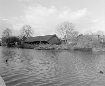 885137 Afbeelding van een leegstaande en vervallen houtloods van Houthandel J. de Wit (Jan Pieterszoon Coenstraat 5) ...